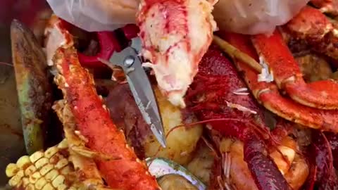 GRAND OPENING of Claws Zone in Westminster this SATURDAY