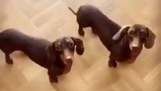 Letβs Dance π€©ππ