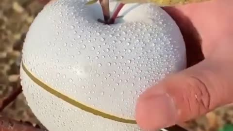 Would you eat this white apple??