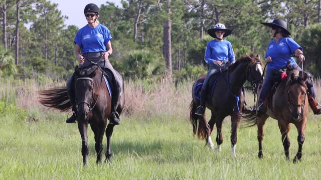 PRSAR's Human Remains Detection Horses.