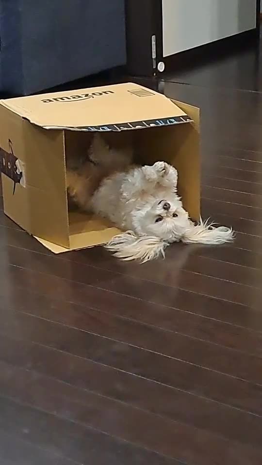 where is my brother?