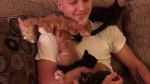 Cute Guy and Cuddly Kittens Part 2