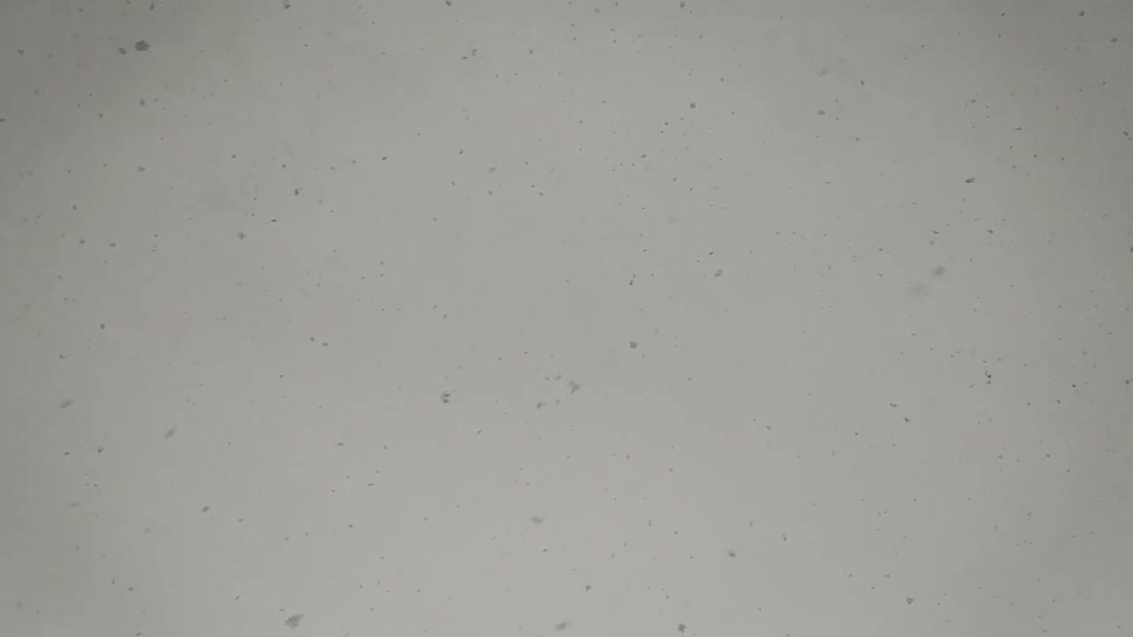 Winter falling snowflakes in slow mo