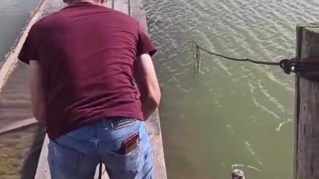 Slippery Bridge Sweeps Friend Off His Feet