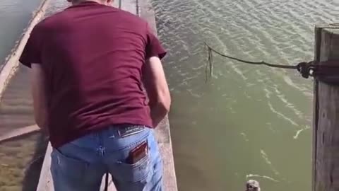 Slippery Bridge Sweeps Friend Off His Feet