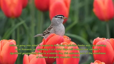 August14-15, 2023 Ascension with Femke and Rick