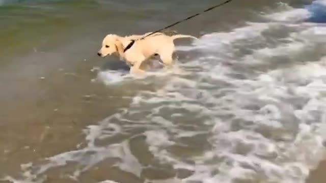 Is this your first time at the beach