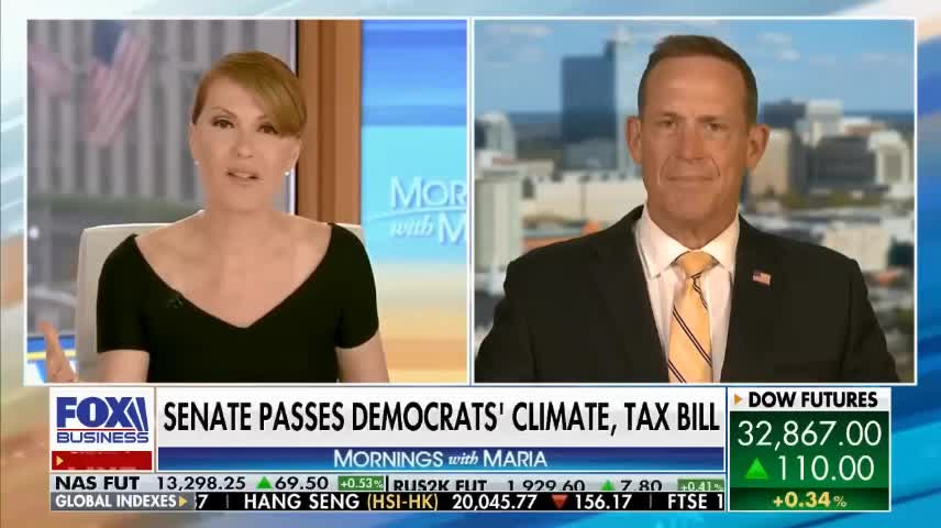 Democrats want to help rich people buy a Tesla: Rep. Budd