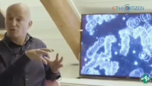 Confronto del sangue di un soggetto vaccinato e un soggetto non vaccinato