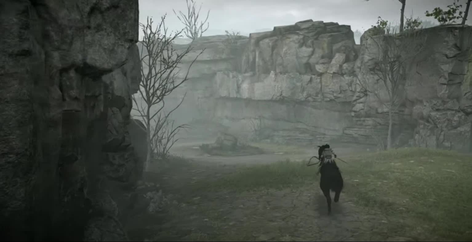 SHADOW OF THE COLOSSUS PS5 clips PartWCS