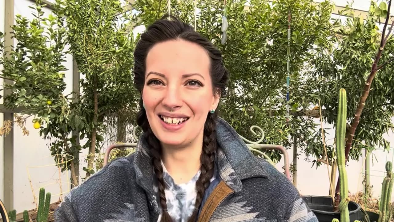 Mirror|Desert Dakini|Dissociation, DID and DDNOS: A Survivor’s Perspective- Part 1