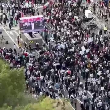 Pro-Palestine protest takes over Washington DC