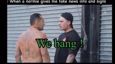 Normie in the fake news gang
