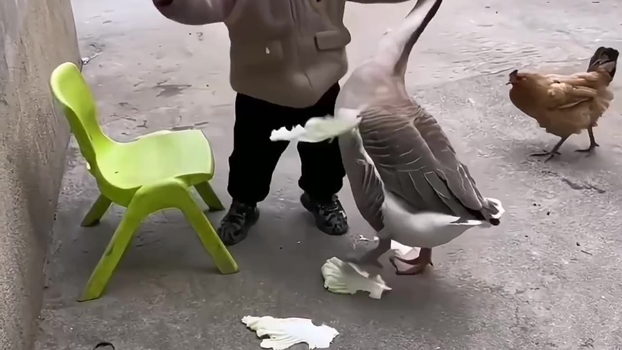 Funny baby