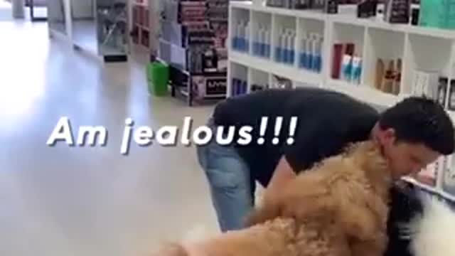 A tale of two dogs and one dad!