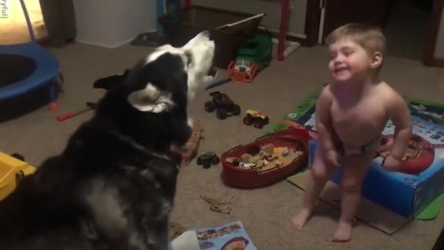 cute #dog short video_ cute puppy shorts_ #short #shortvideo #firstshortvideo #cutedog #dogs #shorts