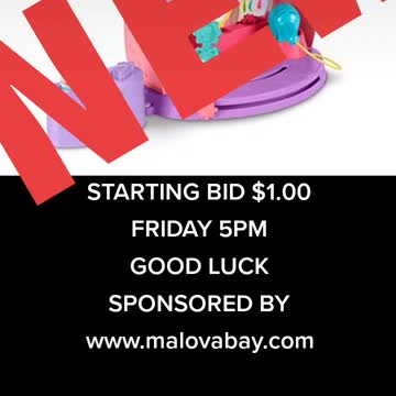 Bourbonnais Middle Class Sells On Ebay For Free