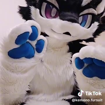 Random Kemono Fursuit Video #20
