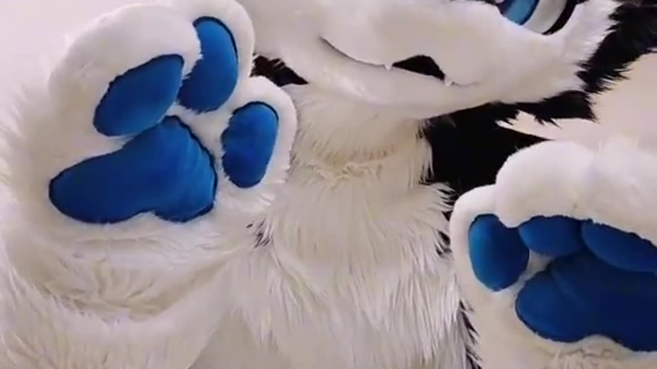 Random Kemono Fursuit Video #20