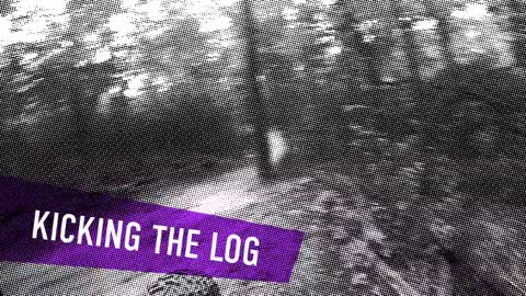 Kicking the Log