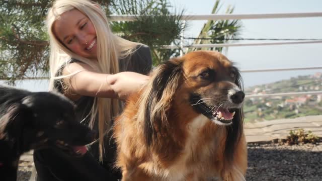 A Smiling beautiful Girl Is Petting Dogs