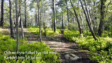 Stadsnära Skogar