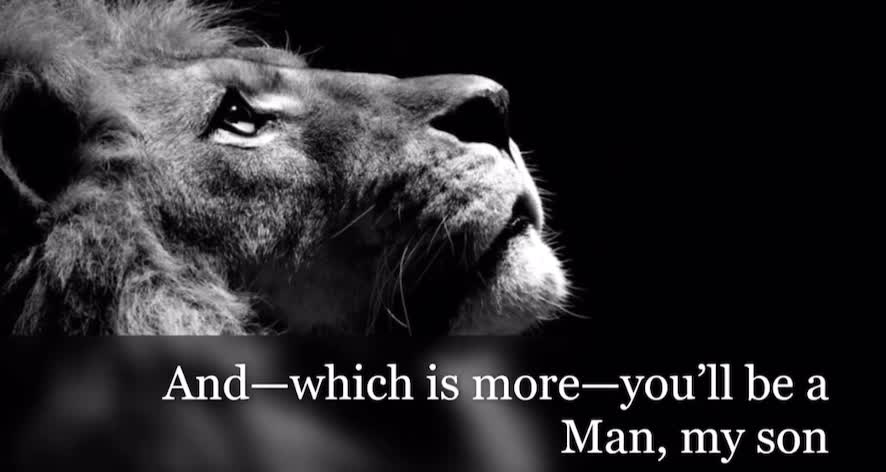 Elevate your humanity. Transcend. Grow. Seek Truth.