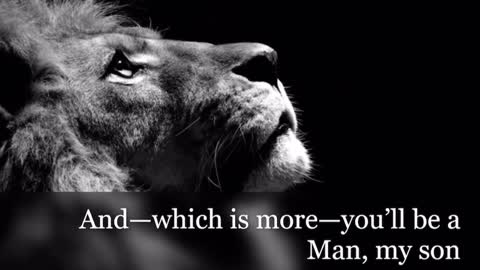 Elevate your humanity. Transcend. Grow. Seek Truth.