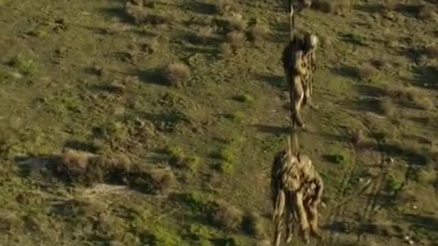 Powerful US Army