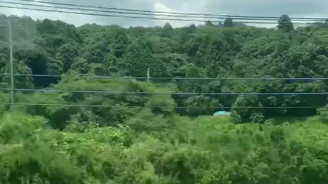 Japanese countryside view from inside the train