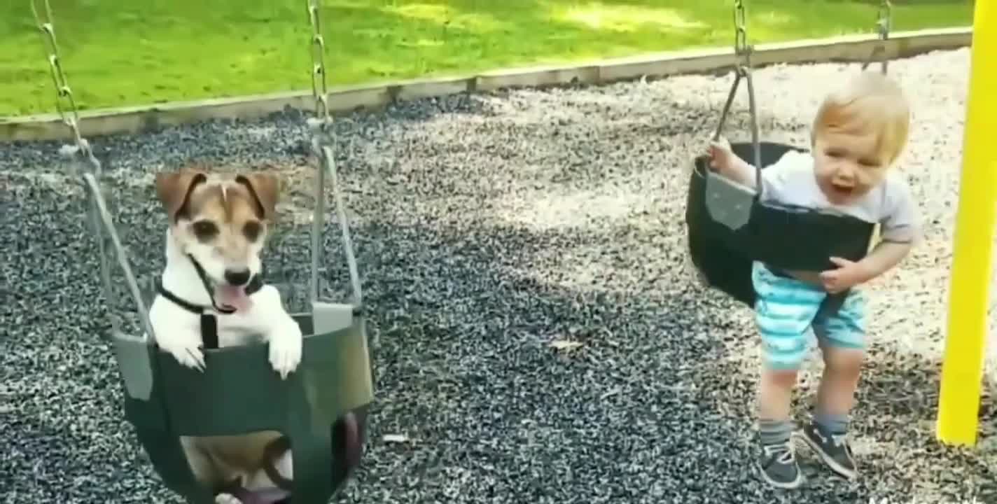 Baby and dog on the swing