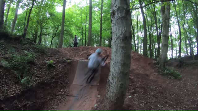 Big Jump Turns Cyclist into Tree Hugger