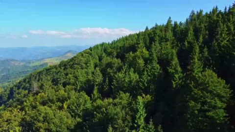 La vera montagna da scalare!