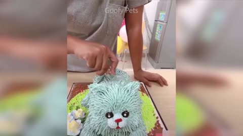 Cat Reaction to Cutting Cake - Funny Dog Cake Reaction Compilation Hungry DOGS! 😂LAUGH