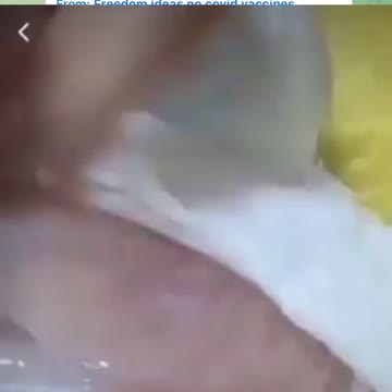 Farmers decided to have "fun" and vaccinated a chicken….