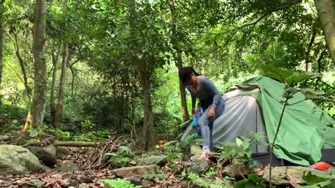 5 Days Solo Camping in the Forest - Survival Skills, Cooking, Relaxing by the Stream