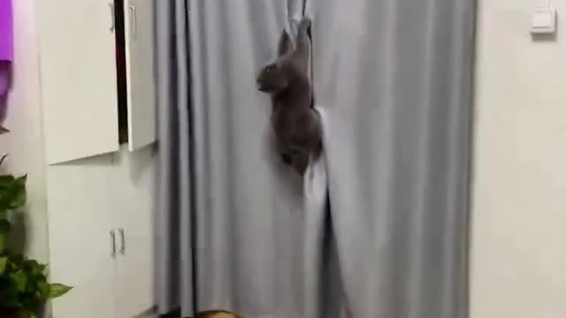 The two of them are fighting!