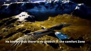 The Power Of Eagle Mindset Best Motivational Video | Titan Man