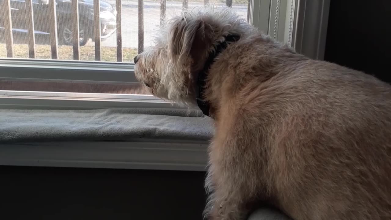 BERKELEY ON WINDOW PATROL 03/02/24