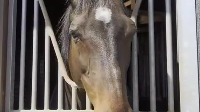 2022-3-22 Supi Yummy