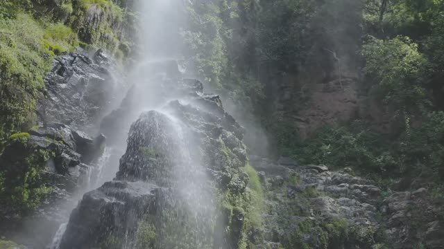 Waterfall in green forest