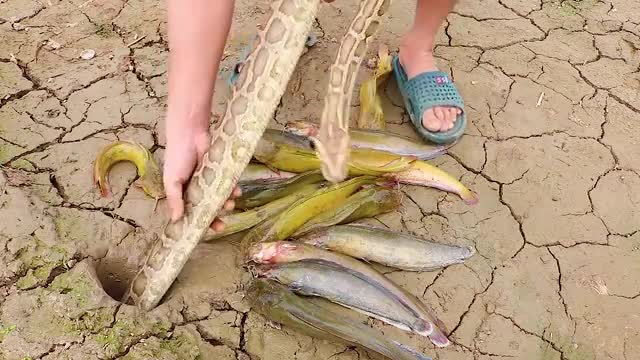 nbelievable Fishing Technique - Use A Snake To Catch Fish In A Pit Deep In The Ground