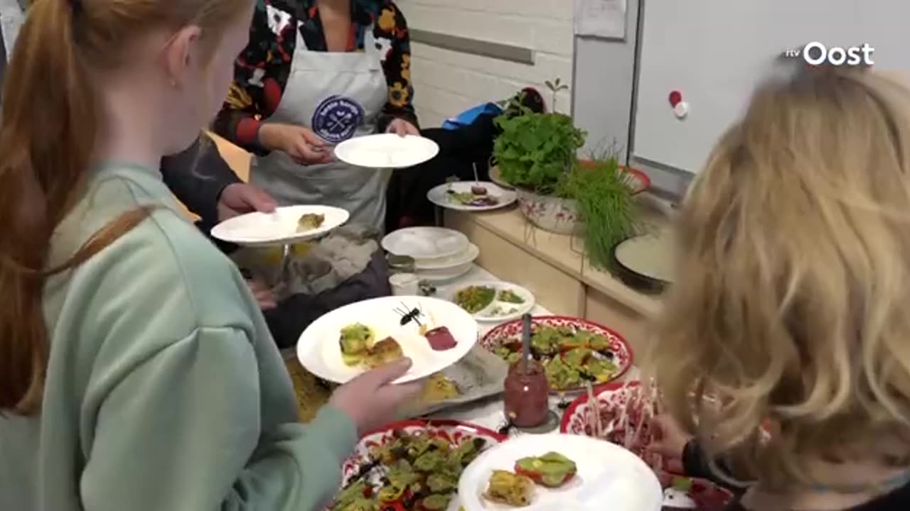 schools in The Netherlands have started a campaign introducing insects as a ‘sustainable’ meat.