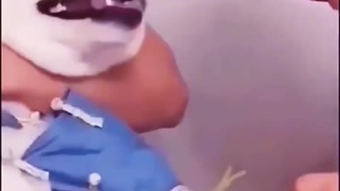 Cute dogs reaction to injections 😂🤣🐶🐱😍😍