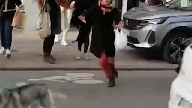 Pedestrians break dog's fall from building