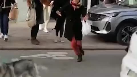 Pedestrians break dog's fall from building