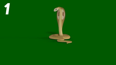 Snake Green Screen Animation Video 2021