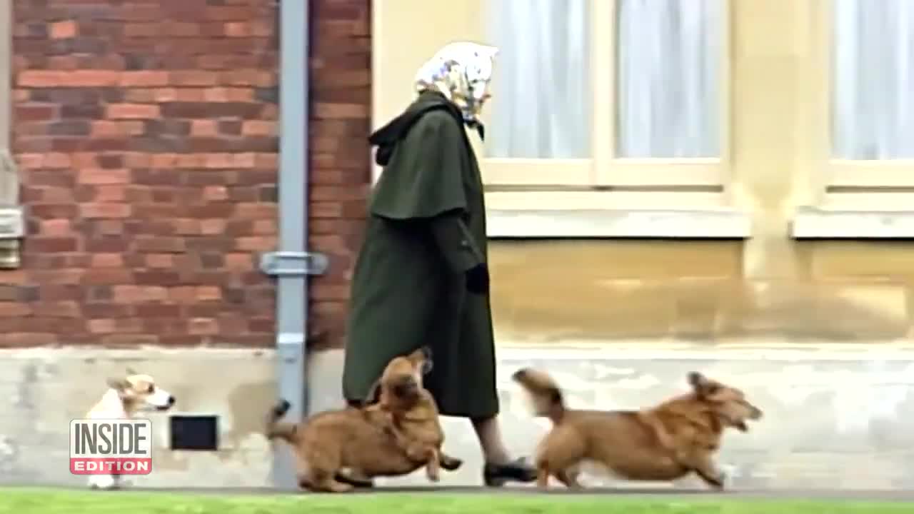 What Will Happen to Queen Elizabeth II’s Royal Pups?