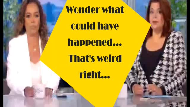 Real Time Demonstration of Liberal Logic - The View