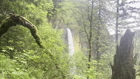 Views from "In Memoriam" Bench of Lower Latourell Falls – Columbia River Gorge – 4K